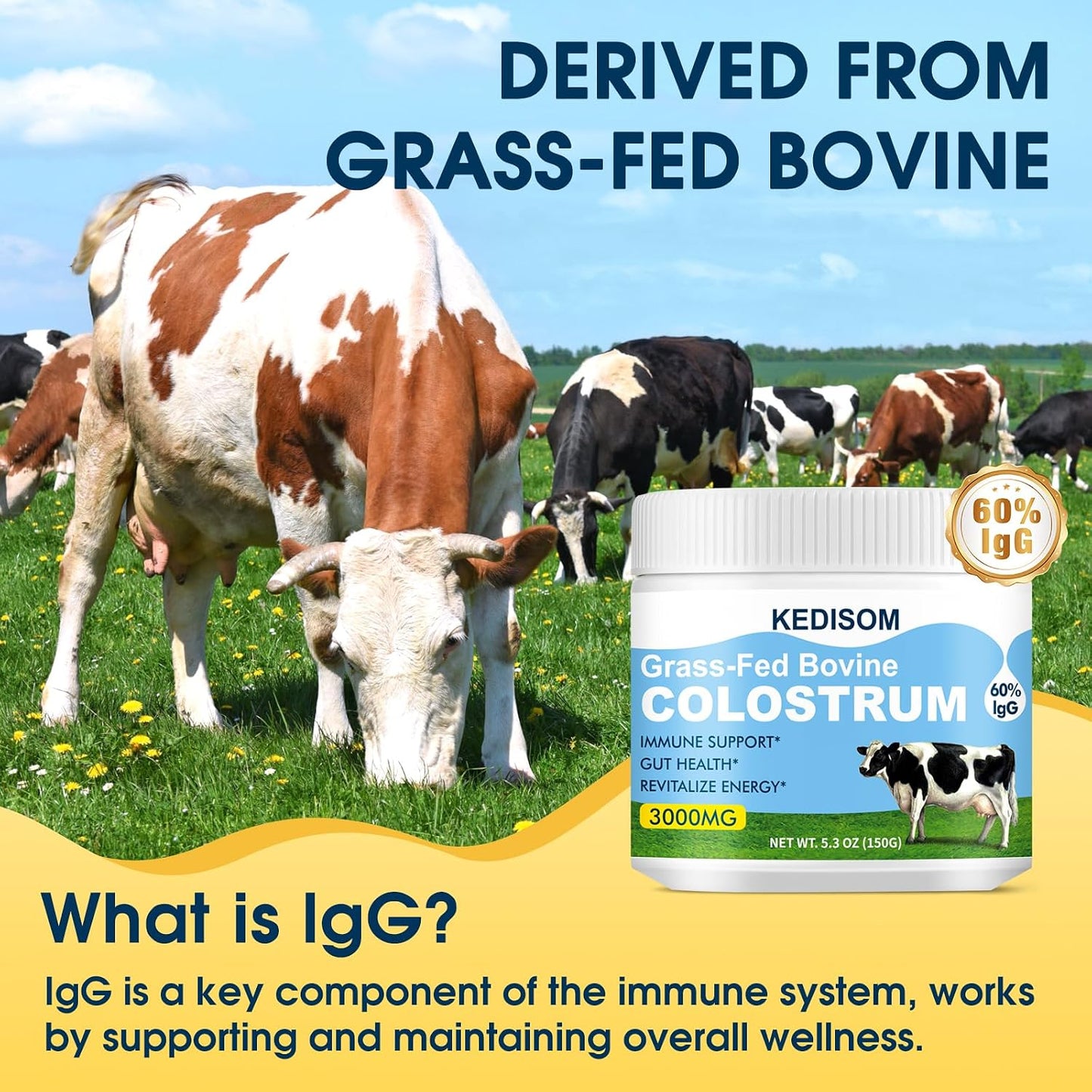 KEDISOM Grass-Fed Bovine Colostrum Powder – Liposomal, High IgG 3000 mg, Gut Health & Immune Support, Unflavoured, 50 Servings - görsel 5
