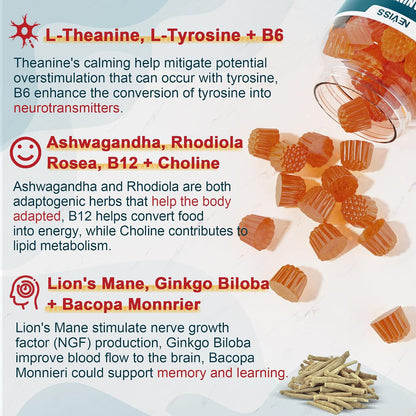 NEVISS Sugar-free L-Tyrosine Gummies – – Brain Herb Complex: 300 mg blend of Lion's Mane, Ginkgo, Bacopa, – Image 3