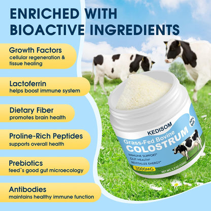 KEDISOM Grass-Fed Bovine Colostrum Powder – Liposomal, High IgG 3000 mg, Gut Health & Immune Support, Unflavoured, 50 Servings