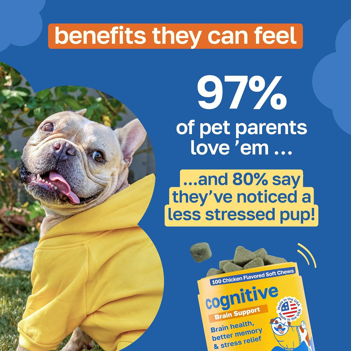 Happy Paws Cognitive Taurine Supplement for – B vitamin nourishment: Vitamins B1, B3 and B12 support energy – Image 4