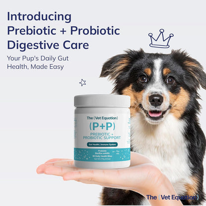 Prebiotic & Probiotic Dog Chews with – Immune Support: About 70% of the immune system is located in the gut. A – Image 2