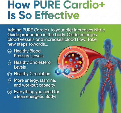 PURE® Cardio+ Nitric Oxide Heart & – Beet Root: Naturally rich in nitrates, which the body can convert to nitric – Image 4