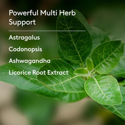 Harker Herbals Children's Immune Daily Syrup – Ashwagandha Root: An adaptogenic herb that helps the body manage – Image 7