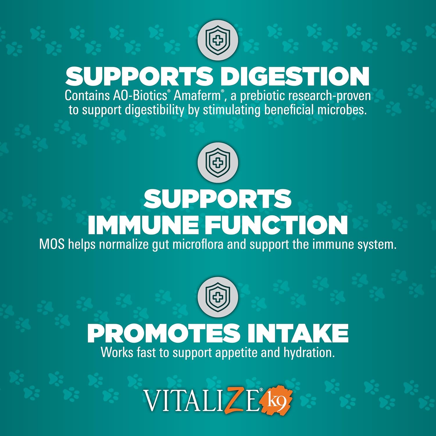 Vitalize Dog Gel - Surgery Recovery & Immune Support for Small Dogs - Peanut Butter Flavour (15 ml) - görsel 3