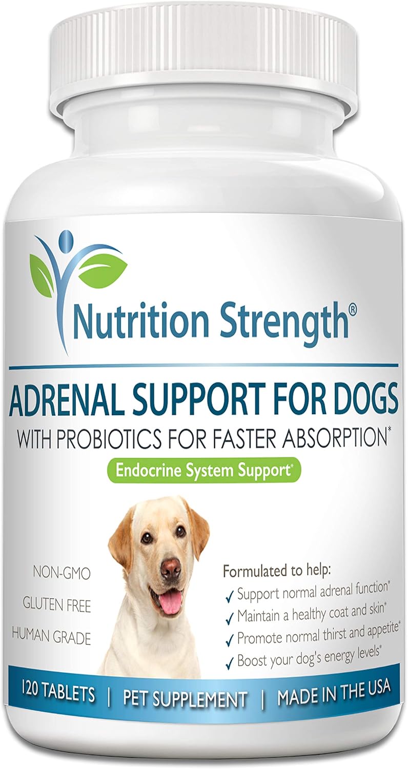 Adrenal Support for Dogs with Cushing's Disease - 120 Herbal Chewable Tablets - görsel 1