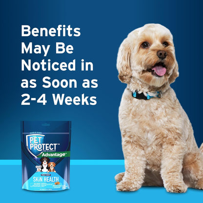 Pet Protect Skin Health Supplement for Dogs – Bacon-Flavoured Soft Chews, 60 Count