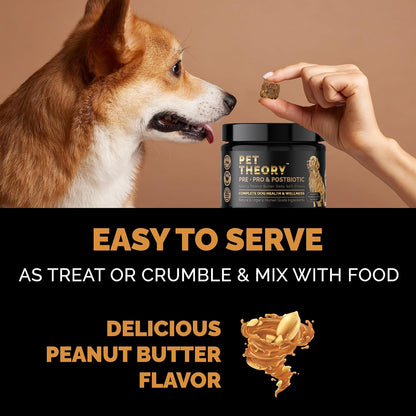 Pet Theory Probiotics for Dogs – Pre, Pro & Postbiotic Soft Chews for Digestive Health and Immune Support (100 Chews)