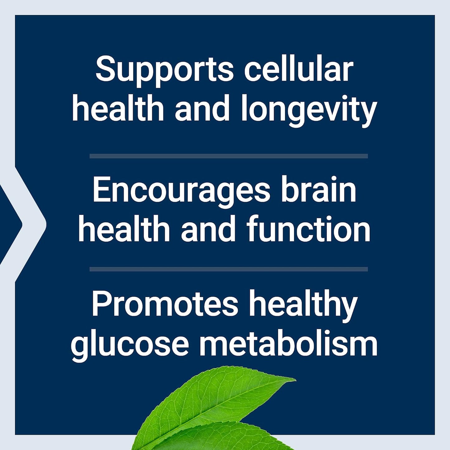 Life Extension Bio-Fisetin - 30 Vegetarian Capsules - görsel 4
