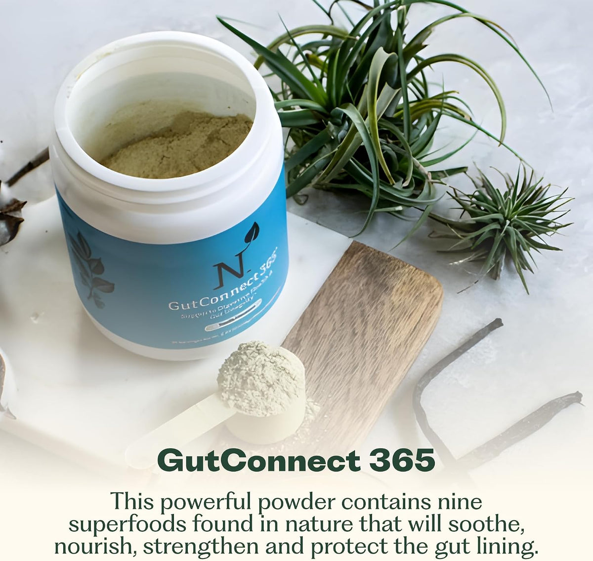 Nature M.D. GutConnect 365 – Chocolate – Strengthens Gut Lining – With 5,000 mg of L-Glutamine per serve, it helps – Image 2