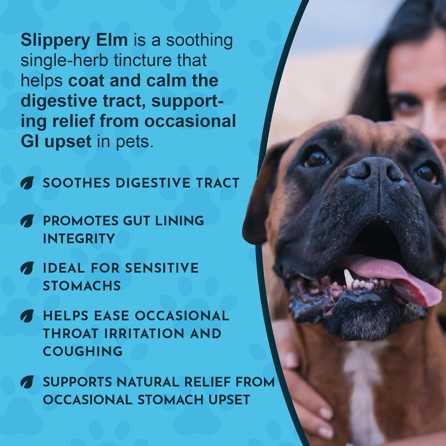 Animal Essentials Organic Slippery Elm Bark Liquid Extract for Dogs and Cats - Digestive & Throat Support - 2 fl oz - görsel 5