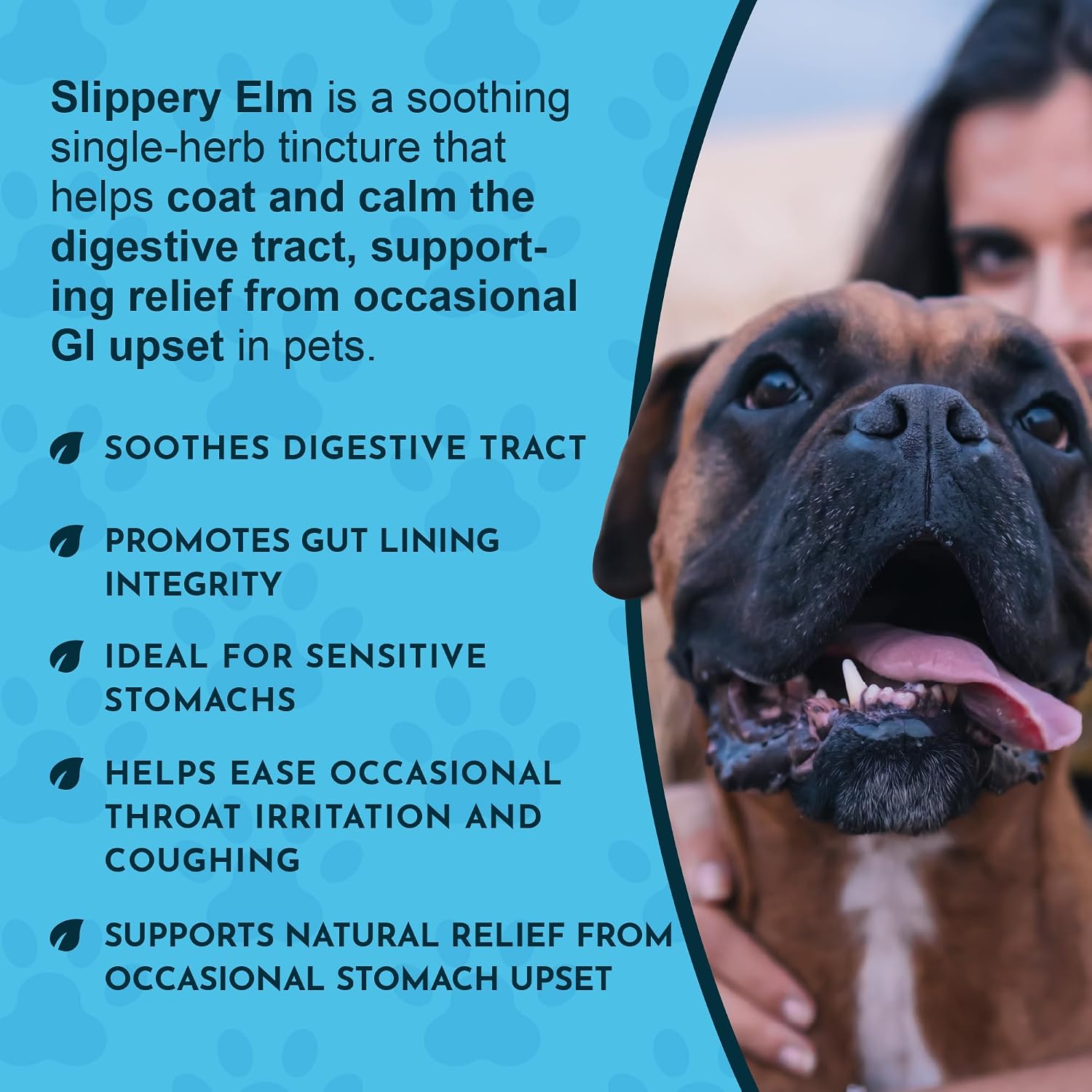 Animal Essentials Organic Slippery Elm Bark Liquid Extract for Dogs and Cats - Digestive & Throat Support - 2 fl oz - görsel 5