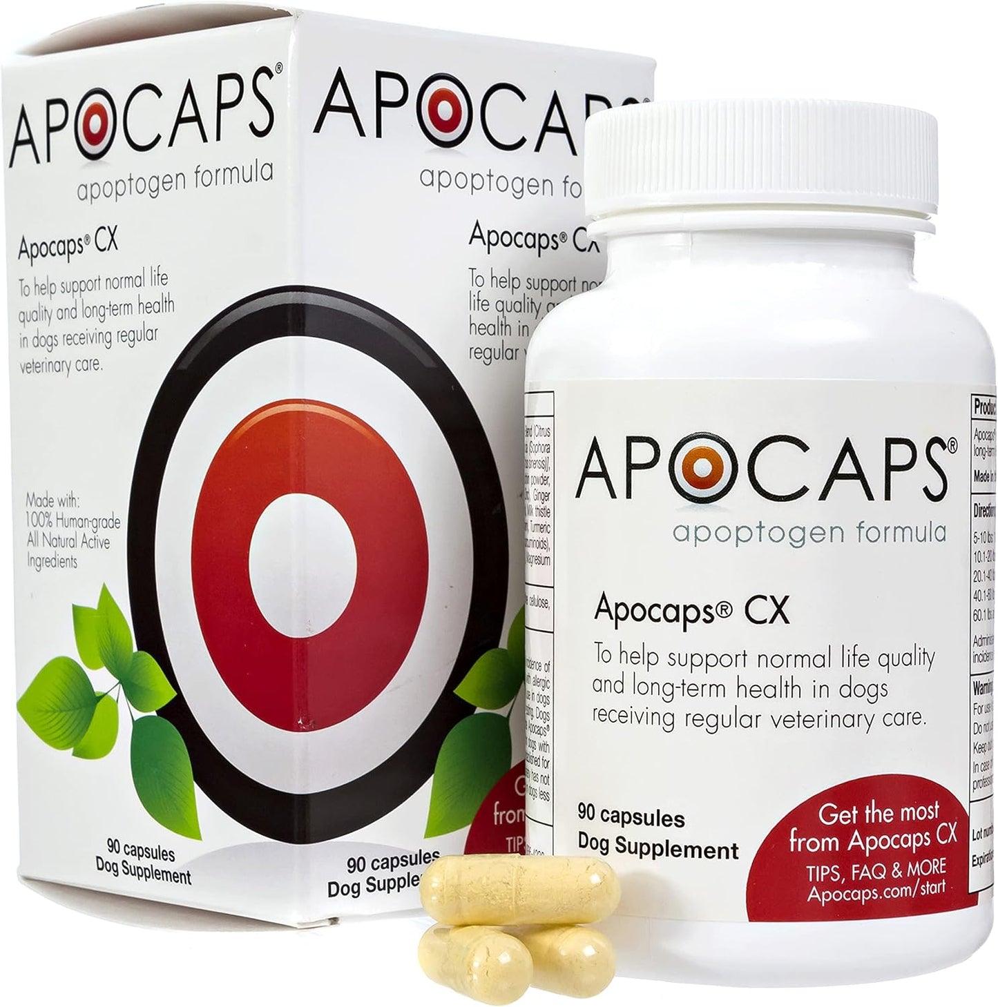 Apocaps CX Vet-Formulated Apoptogen Formula for Dogs - Milk Thistle, Turmeric, Apigenin & Luteolin - Supports Normal Apoptosis, Immune & Liver Function - Senior Dogs - 90 Capsules - görsel 1