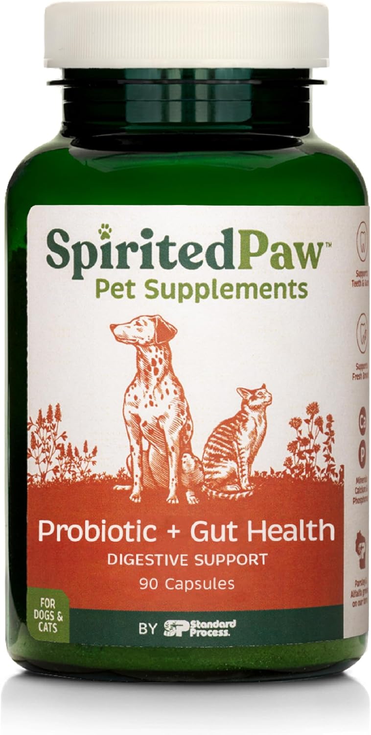Spirited Paw Probiotic + Gut Health - Digestive and Immune Support for Dogs and Cats - Prebiotic, Probiotic and Postbiotic Pet Care Blend with Organic Buckwheat and Chicory Root Fibre - 90 Capsules - görsel 1