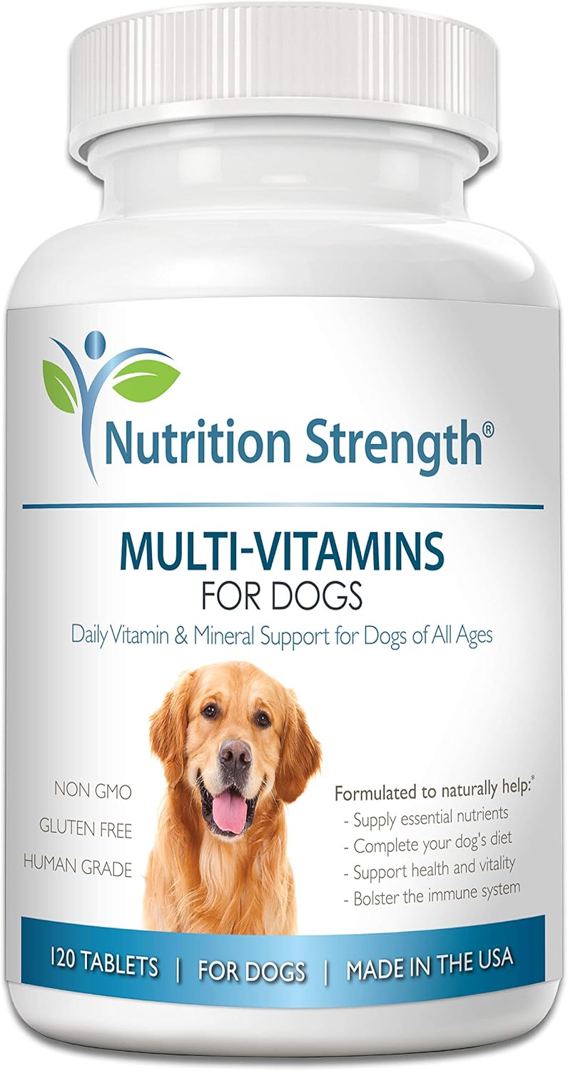 Multivitamins for Dogs, Daily Vitamin and Mineral Support, Nutritional Dog Supplements for All Canine Breeds and Sizes, Promotes Immune Health in Pets, 120 Chewable Tablets - görsel 1