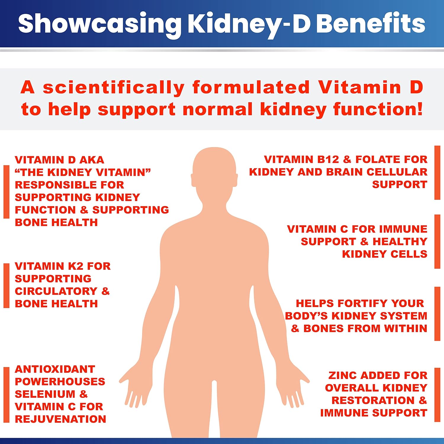 Kidney-D Supplement: Vitamin D3 with 7 Kidney-Supporting Nutrients - görsel 5