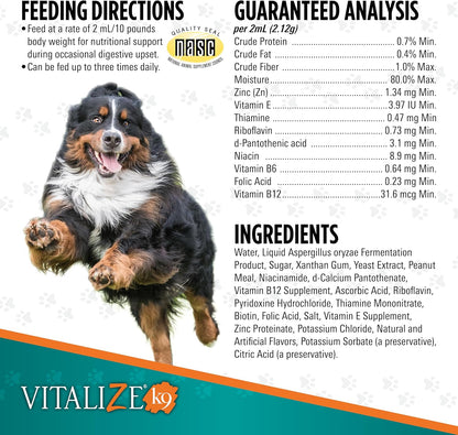 Vitalize Dog Gel - Surgery Recovery & Immune Support for Small Dogs - Peanut Butter Flavour (15 ml)
