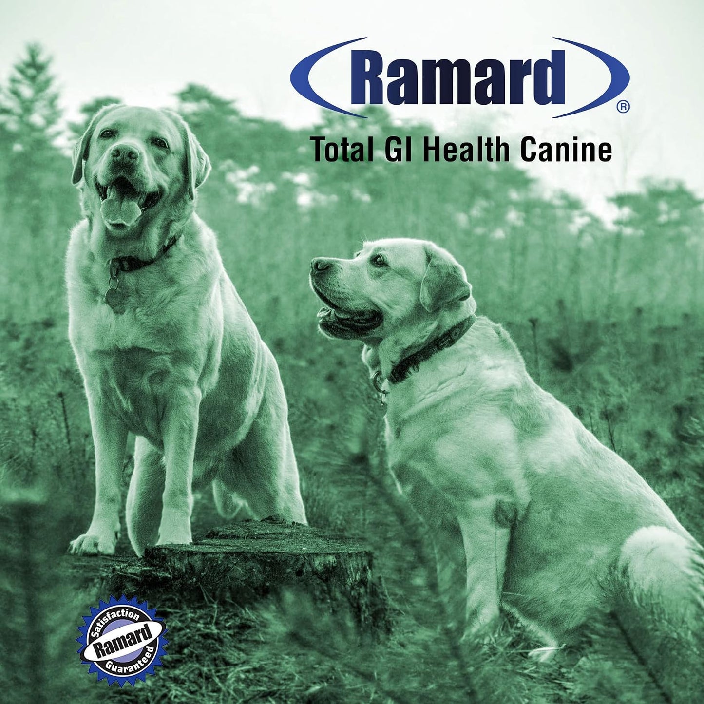 Ramard Total GI Canine Health Soft Chews – Digestive Health for Dogs, 45 Chews - görsel 6