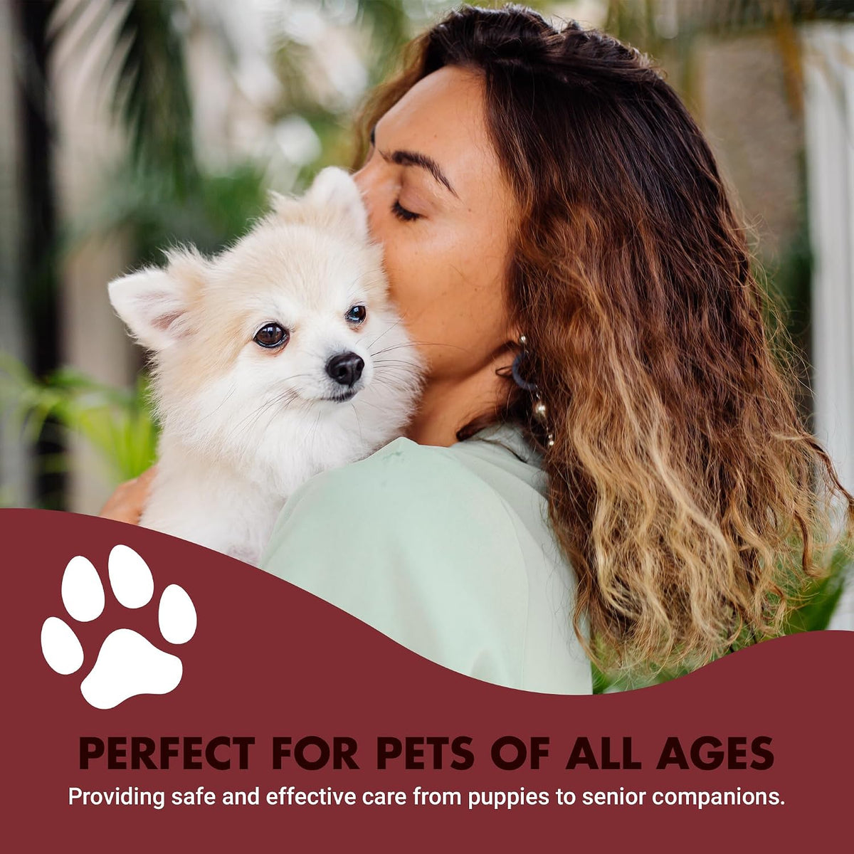 Immune Support for Dogs – Antioxidant – Ingredient Quality : Look for supplements with well-researched ingredients – Image 7