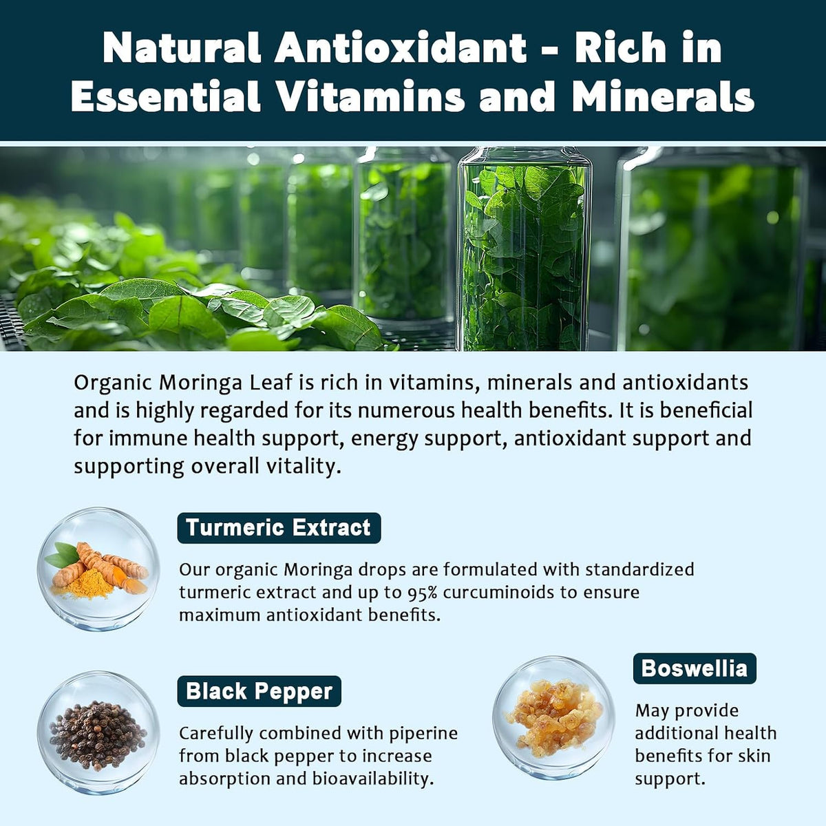 (2 Pack) Organic Moringa Leaf Extract Liquid Drops with Turmeric, Boswellia – Energy, Antioxidant, Skin & Immune Support – – Image 5