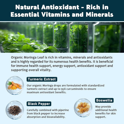 (2 Pack) Organic Moringa Leaf Extract Liquid Drops with Turmeric, Boswellia – Energy, Antioxidant, Skin & Immune Support – – Image 5
