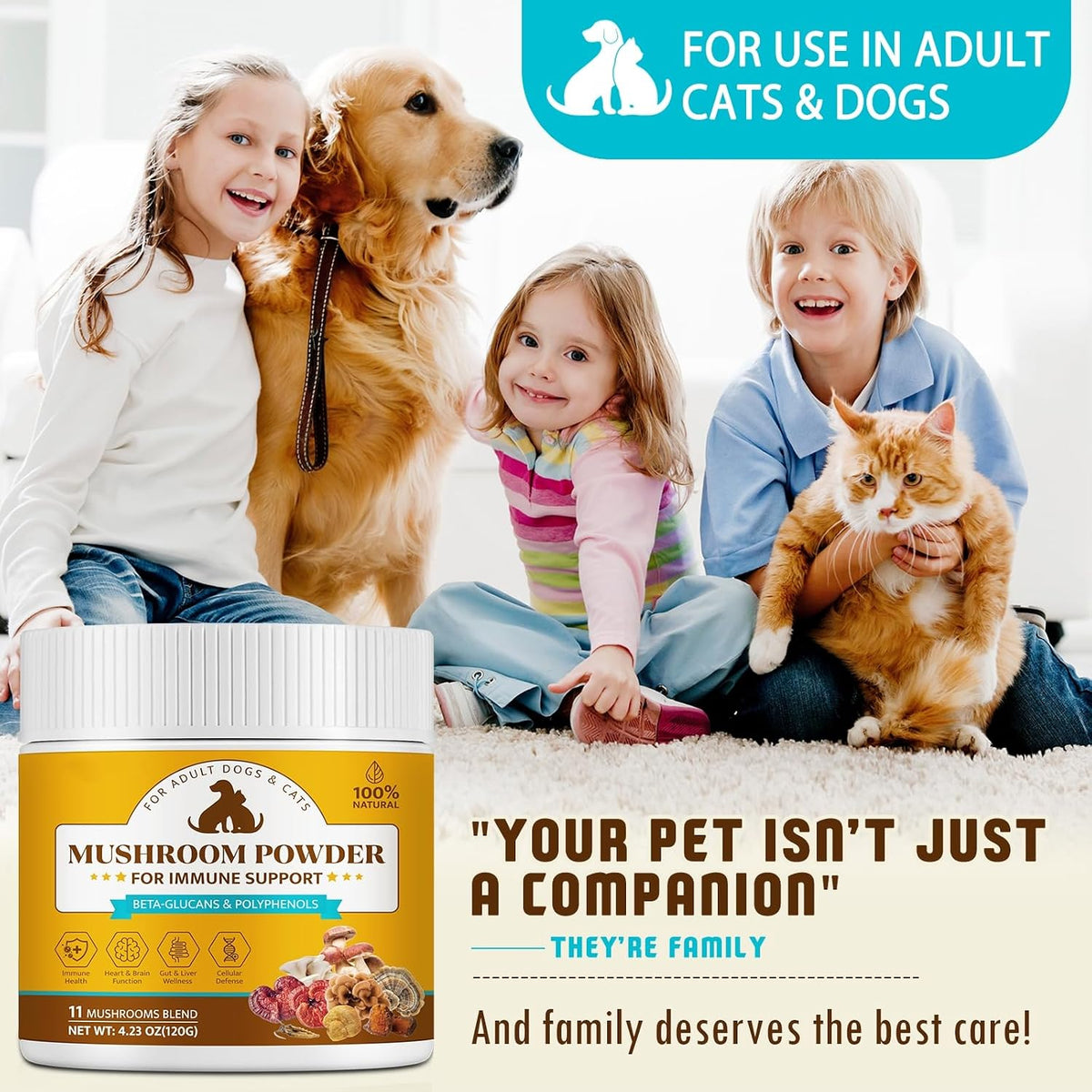 Organic Mushroom Supplement Powder for Dogs – Lion's Mane (Hericium erinaceus): Promotes nerve health and – Image 7