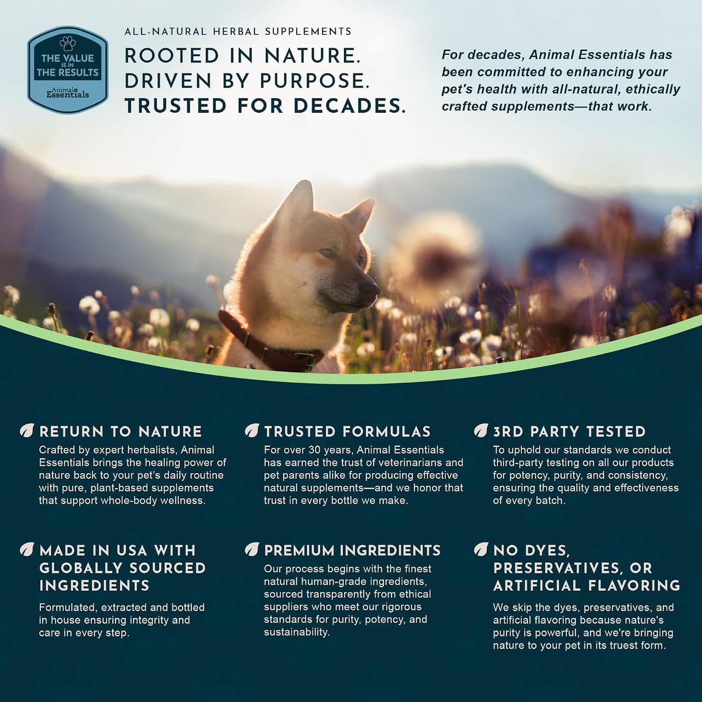 Animal Essentials Body Cleanse Liver Support for Dogs & Cats - 1 fl oz - görsel 8