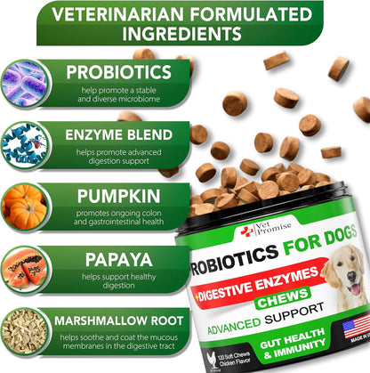 (2 Pack) Probiotics for Dogs - Dog Probiotics and Digestive Enzymes for Gut Health, Itchy Skin, Allergies, Immunity, Yeast Balance - Prebiotics - Reduce Diarrhoea, Wind - 240 Probiotic Chews for Dogs