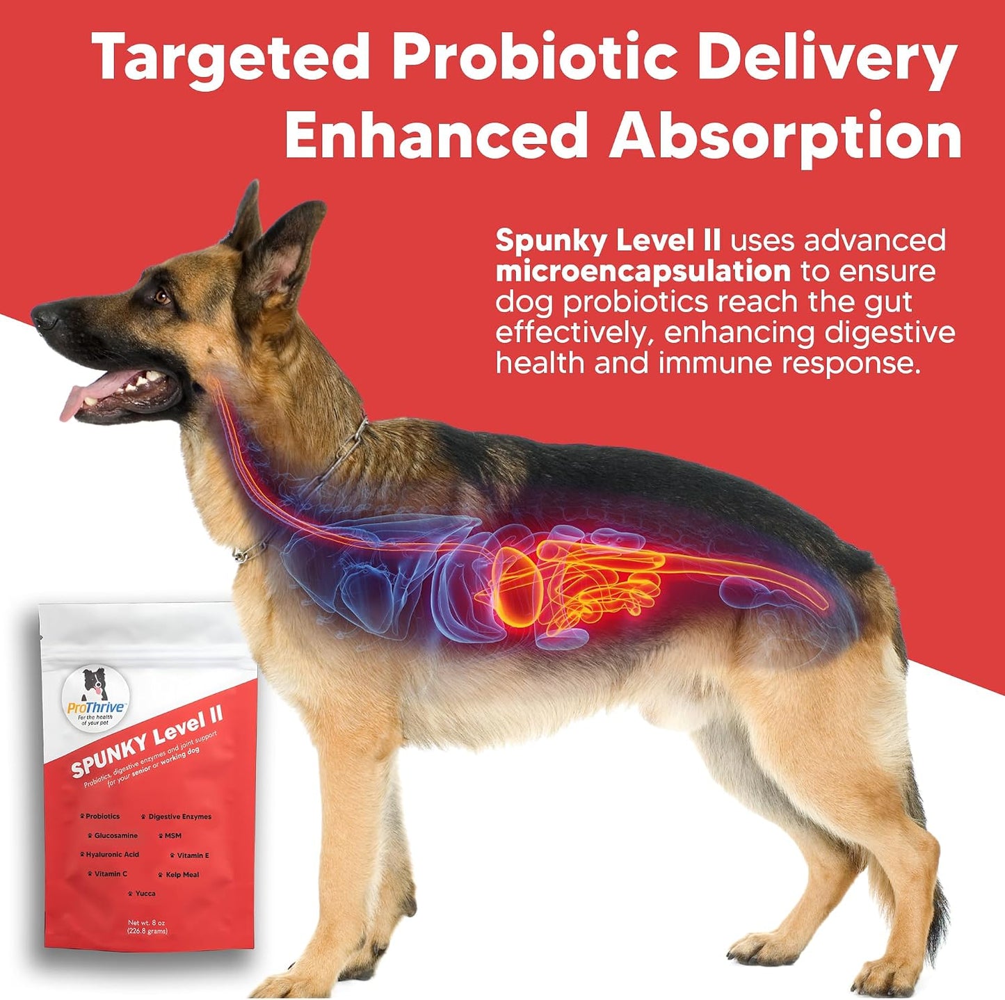 Equerry's Spunky Level II Formulated Probiotics for Dogs 227g - görsel 4
