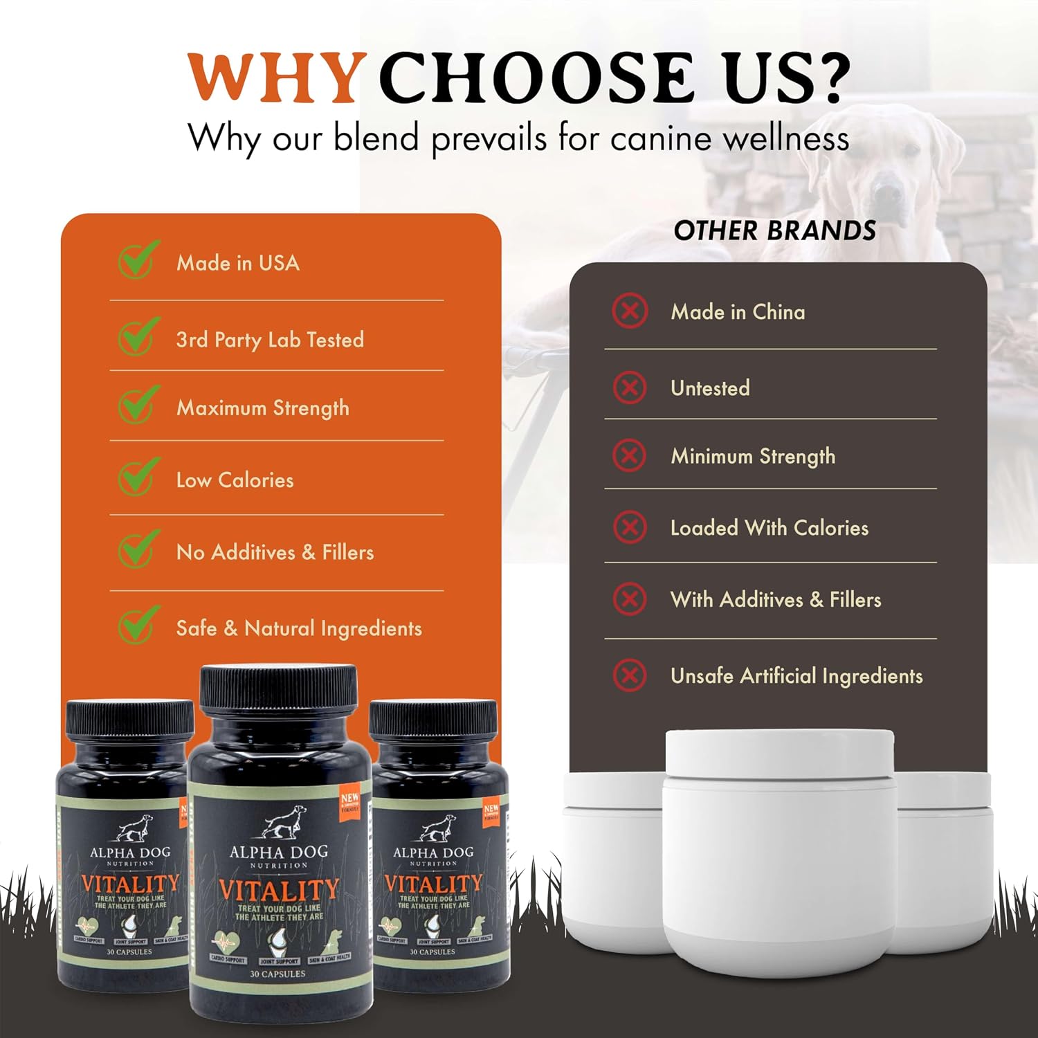Krill Oil for Dogs – Vitality from Alpha Dog Nutrition - görsel 7