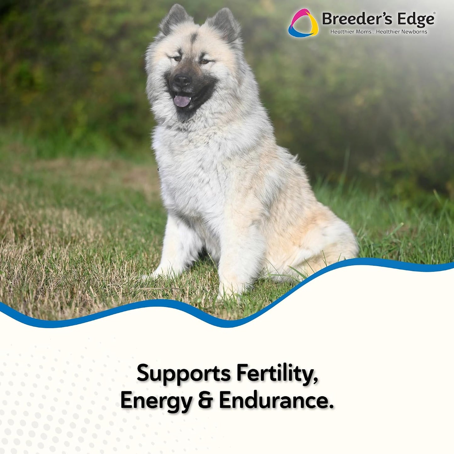 Breeder's Edge Oxy Stud Male Supplement Multivitamin - Soft Chews for Dogs & Cats (60 Chews) - görsel 2