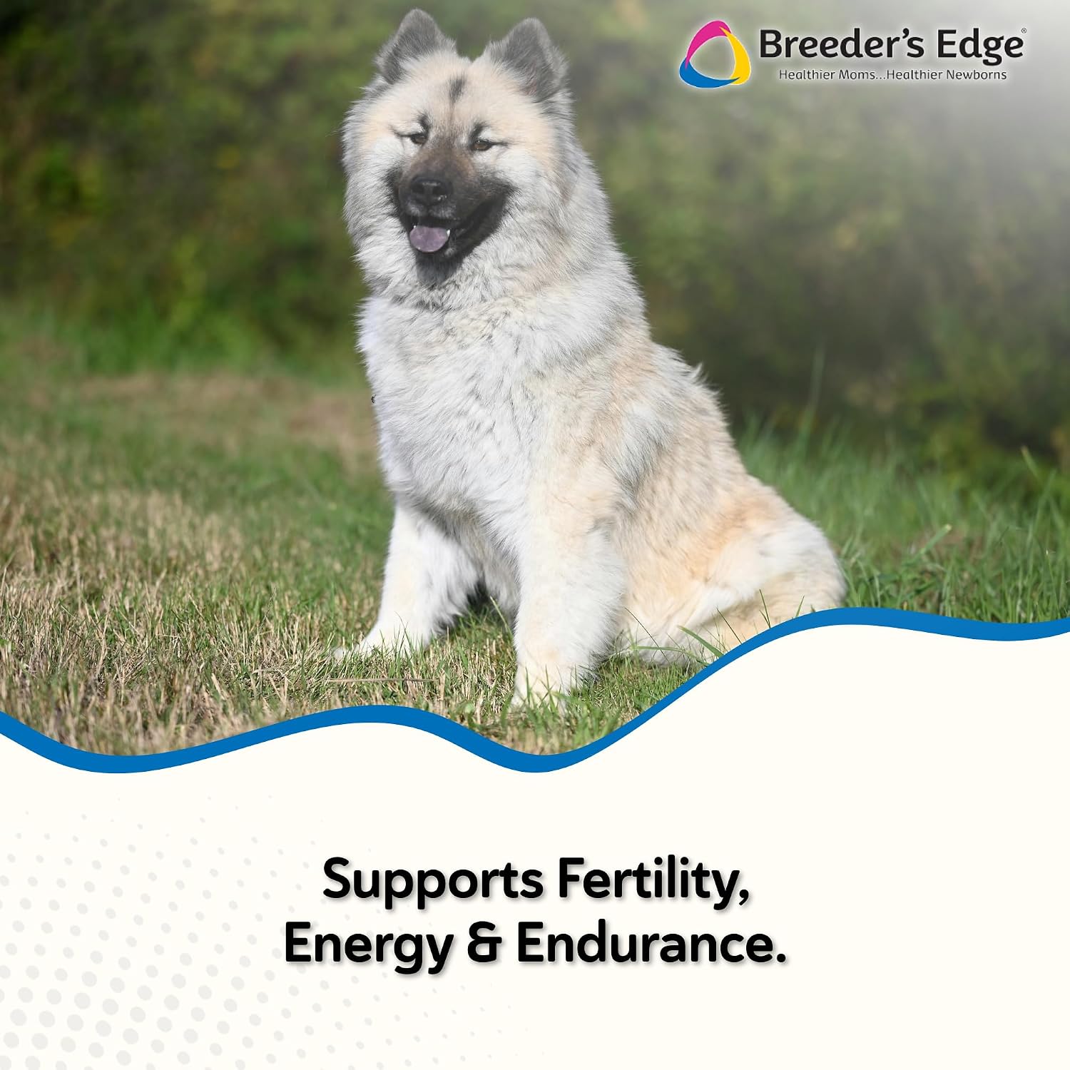 Breeder's Edge Oxy Stud Male Supplement Multivitamin - Soft Chews for Dogs & Cats (60 Chews) - görsel 2