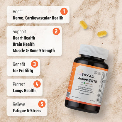 YDY All Active BQ10 - CoQ10 100mg, Vitamin B Complex (B1, B2, B3, B6, B7, B9, B12, Pantethine) - Supports Heart Health, – Image 3