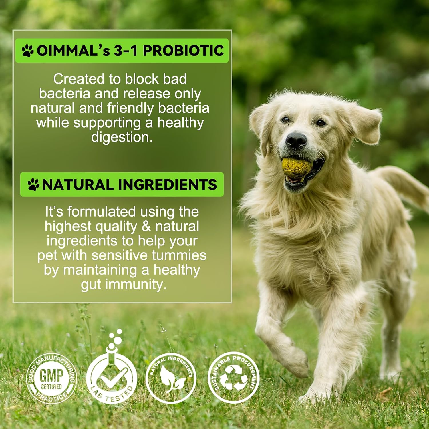 Probiotics for Dogs, 3-in-1 Dog Probiotics, Dog Probiotics for Digestive Support, Dog Probiotic Supplements, Pet Probiotics for Dogs, Liquid Probiotics for Dogs | 59 mL - görsel 6