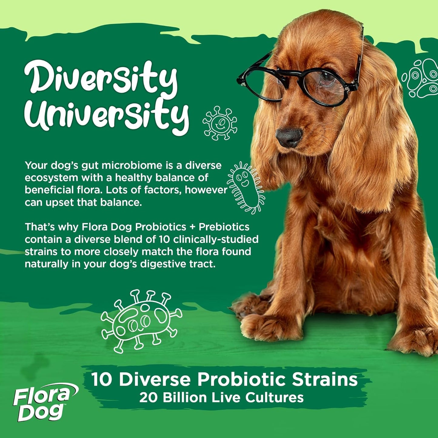 Vital Planet Flora Dog Probiotic for Dogs - 20 Billion CFU, 60 Chewable Tablets - görsel 3
