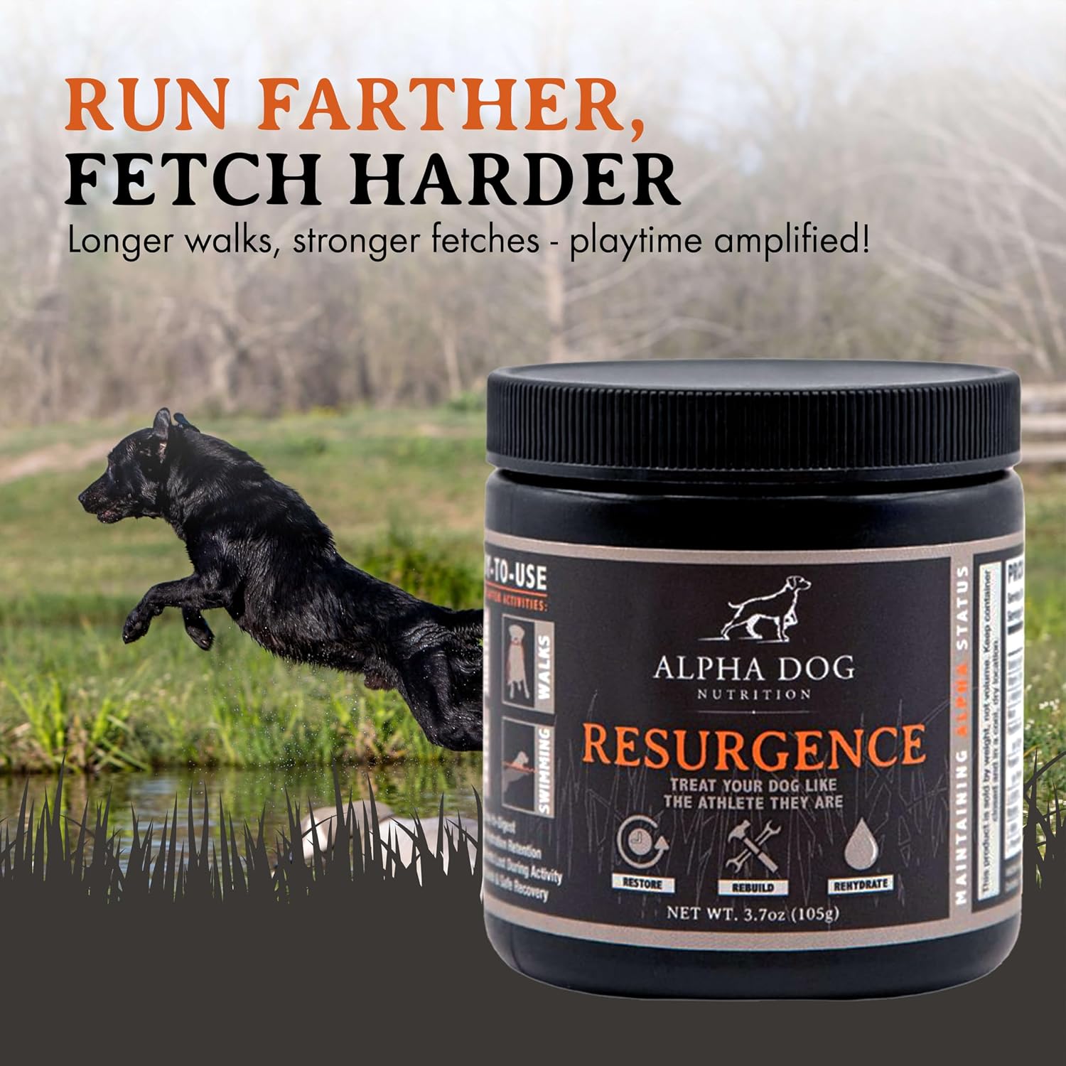 Alpha Dog Nutrition Electrolytes for Dogs – PhD Formulated Hydration Supplement with Beef Flavour for Active Canines - görsel 4