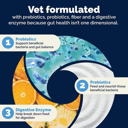 Vetnique Glandex Daily Probiotic Chews for Dogs – Gut & Immune Health (30ct)