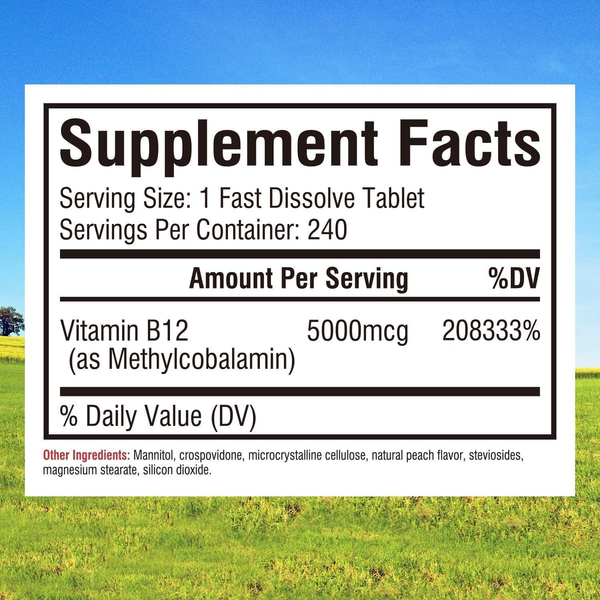 Innate Vitality Vitamin B12 5000mcg, – Older adults: Ageing can reduce stomach acid needed to absorb B12 from food. – Image 2