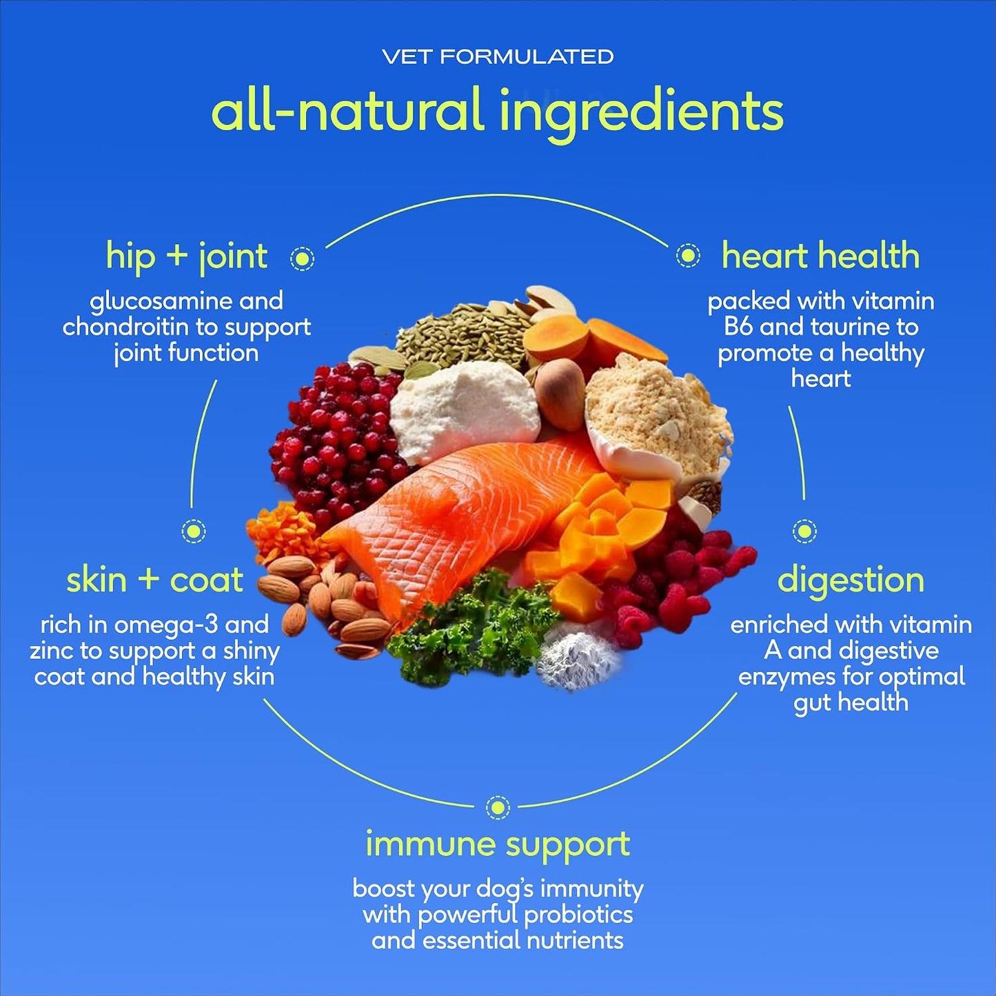 Native Pet The Daily: 11-in-1 Dog Multivitamin Powder for Aussie Dogs - görsel 4