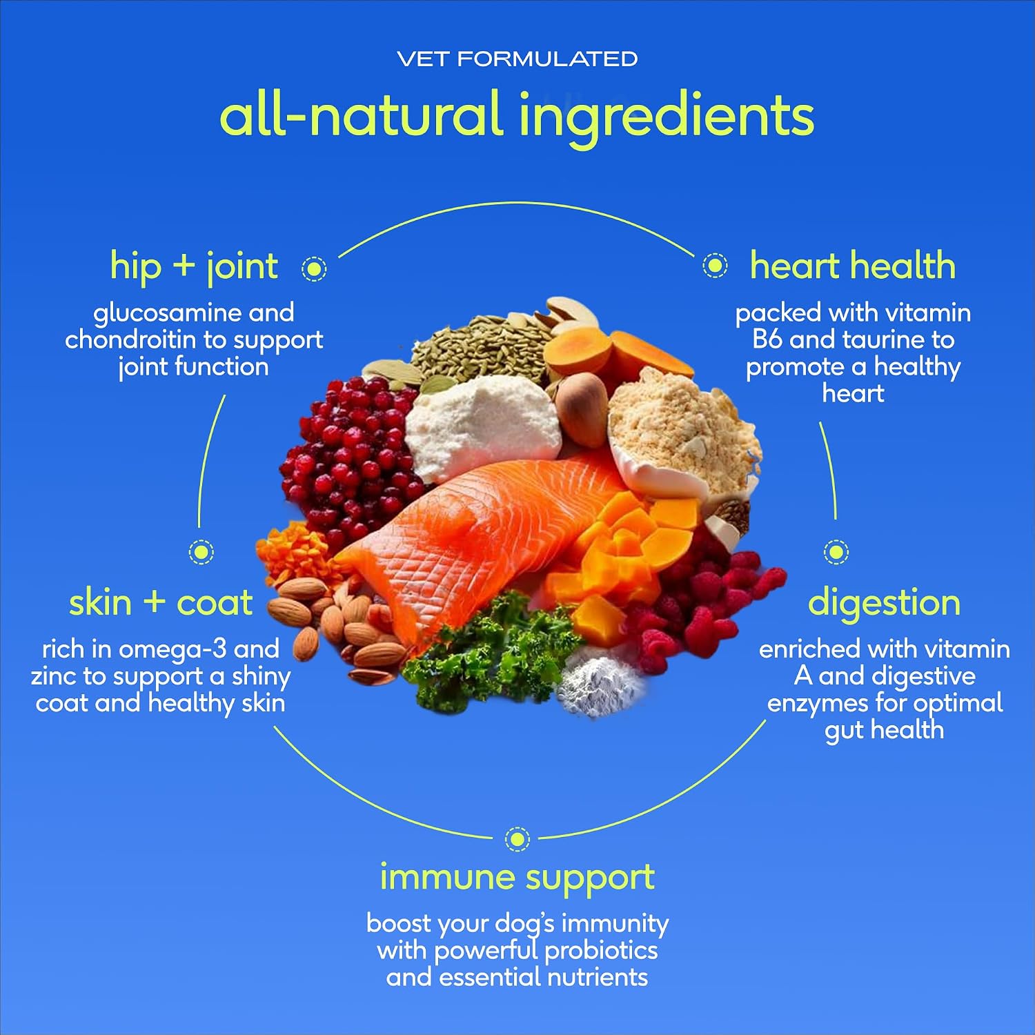 Native Pet The Daily: 11-in-1 Dog Multivitamin Powder for Aussie Dogs - görsel 4