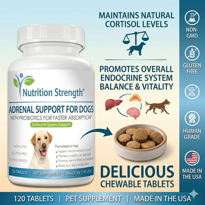 Adrenal Support for Dogs with Cushing's Disease - 120 Herbal Chewable Tablets