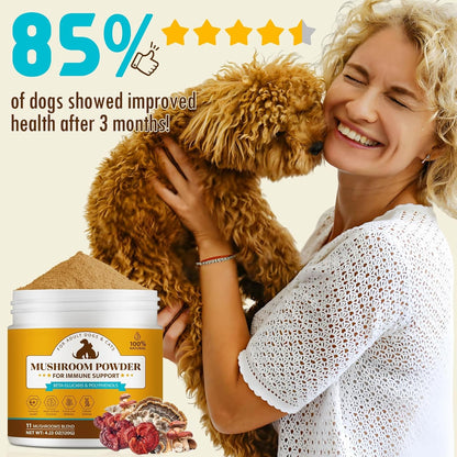 Organic Mushroom Supplement Powder for Dogs – Shiitake (Lentinula edodes): Contains lentinan, which supports – Image 6