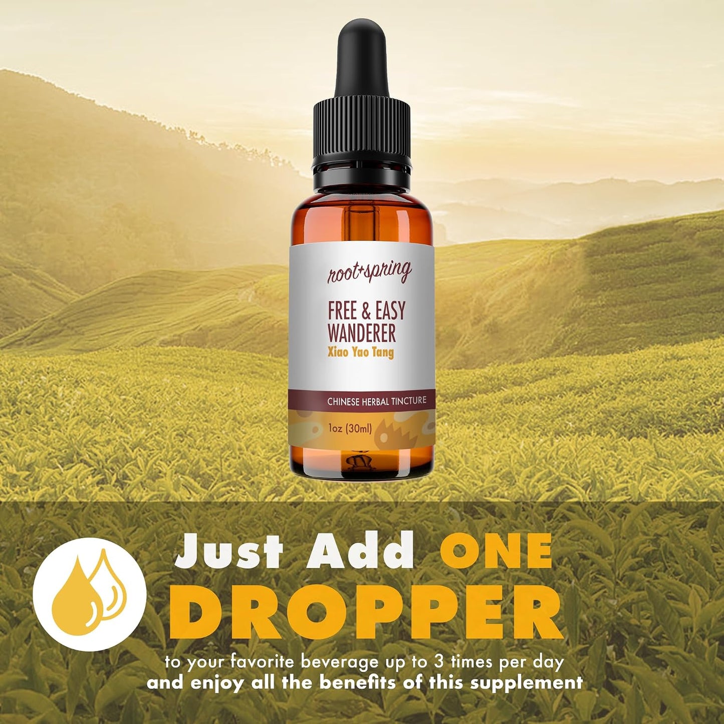 Free & Easy Wanderer - Xiao Yao Tang - Herbal Tincture (Liquid Extract) - Pack of 4 - görsel 3