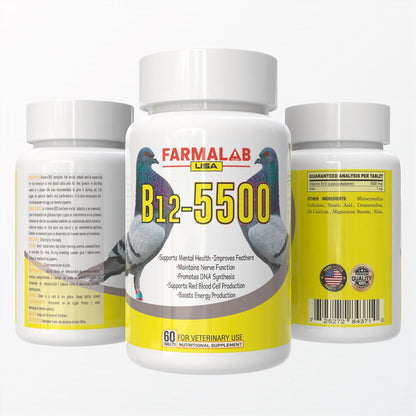 B12-5500 Para Palomas, Pigeon Vitamin – Breeding pigeons: Supports reproductive health and helps chicks thrive. – Image 2