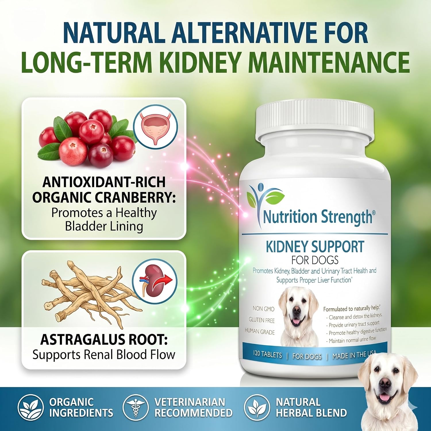 Kidney Support for Dogs - Renal, Bladder and Urinary Tract Health Supplement with Organic Cranberry and Astragalus, 120 Chewable Tablets - görsel 2