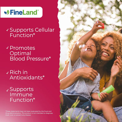 FineLand Pomegranate Extract 20:1 - 40% Ellagic Acid - Antioxidant Support - 120 Vegan Capsules – Image 4