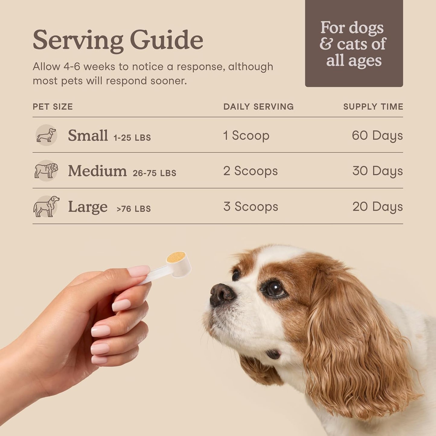 Fera Pets Cat & Dog Liver Supplement Powder with Milk Thistle – 60 Scoops - görsel 4