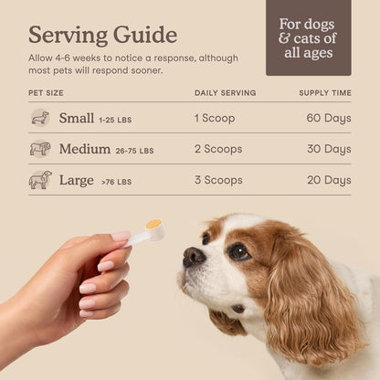 Fera Pets Cat & Dog Liver Supplement Powder with Milk Thistle – 60 Scoops