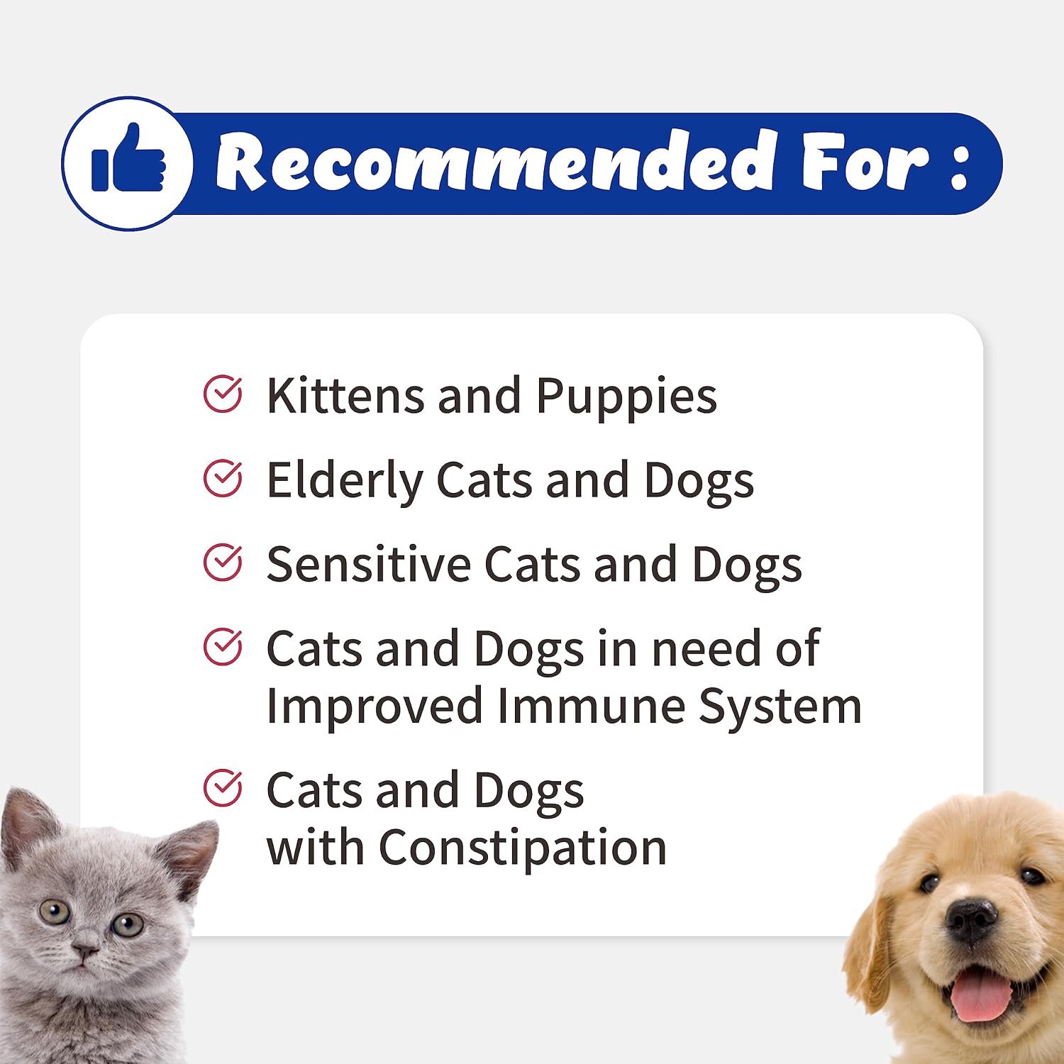 Branvine Probiotics Liquid for Cats and Dogs - 6 Strains with Prebiotics and Dry Yeast (60 ml) - görsel 3
