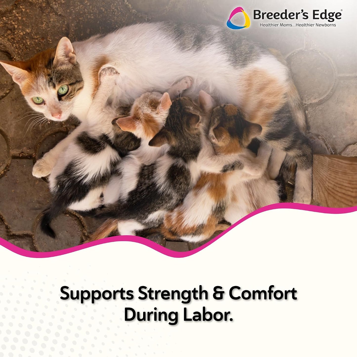 Breeder's Edge Oral Cal Plus Gel - Calcium Supplement for Dogs and Cats in Labour (30ml Paste) - görsel 2