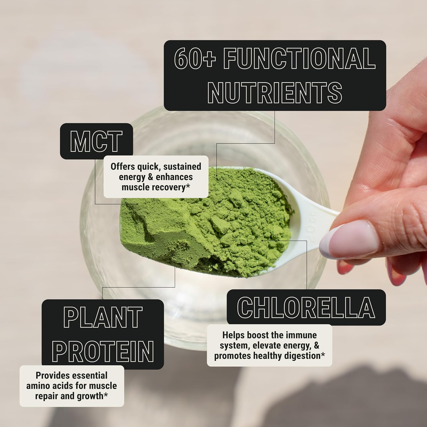 ON3 Athletic Daily Greens & Superfood Blend - 5 Servings - görsel 3